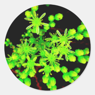 Pegatina Redonda Neón Flower