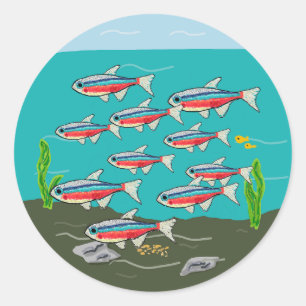 Pegatina Redonda Neon Tetra