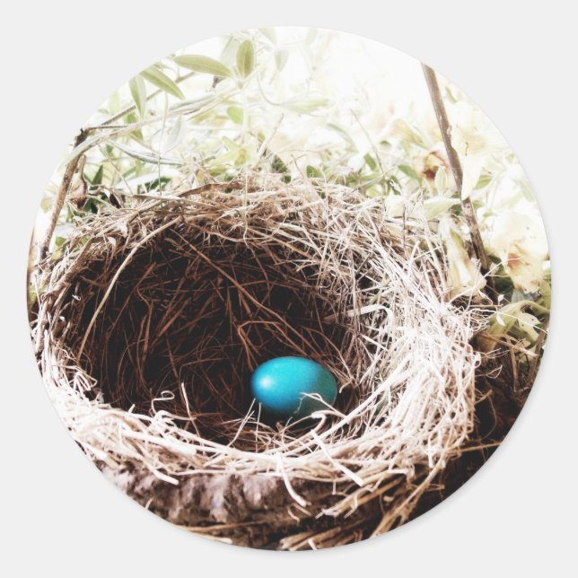 Pegatina Redonda Nest de Robin (Anverso)