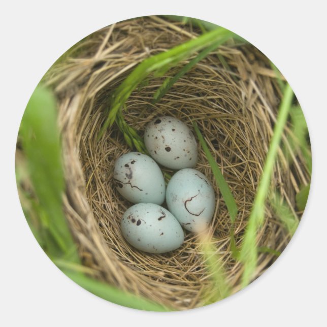 Pegatina Redonda Nestoso de huevos (Anverso)