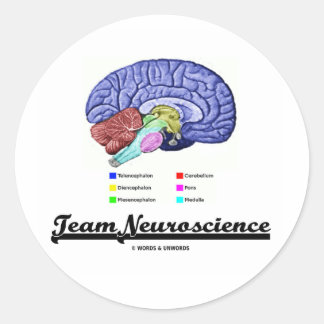 Pegatina Redonda Neurociencia de equipo (Actitud de anatomía cerebr