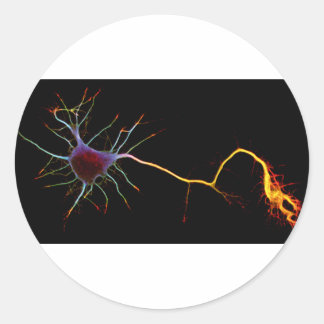 Pegatina Redonda Neuroscience, neuron , science