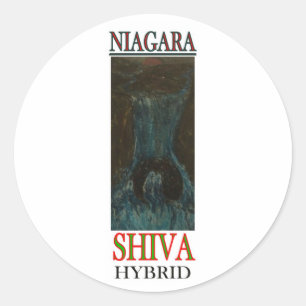PEGATINA REDONDA NIAGARA SHIVA HÍBRIDO