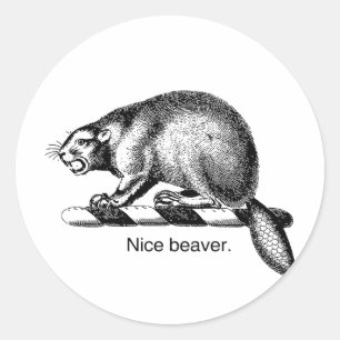 Pegatina Redonda NICE BEAVER -.png