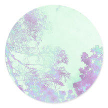 Niebla de hoja ancha de lavanda