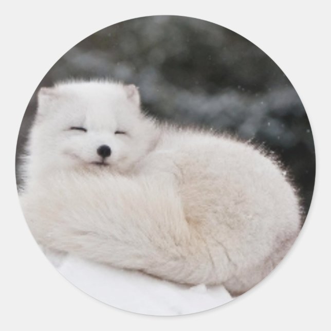 Pegatina Redonda nieve invierno hielo hielo hielo hielo Arcadio Fox (Anverso)