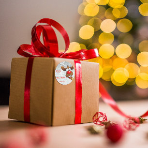 Pegatina Redonda Nieve rudolph de árbol de Navidad