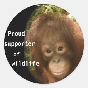 Pegatina Redonda Ningunas estupideces