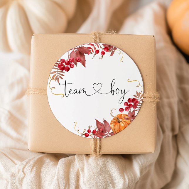 Pegatina Redonda Niños pegatinas del equipo de naranjas de calabaza (Subido por el creador)