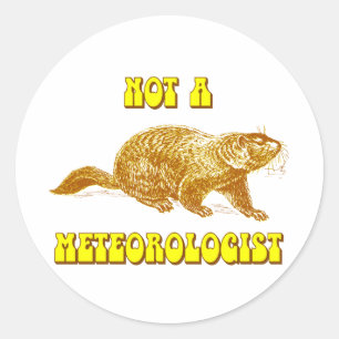 Pegatina Redonda No es un Groundhog Meteorólogo