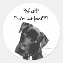 Pegatina Redonda No estás arreglado