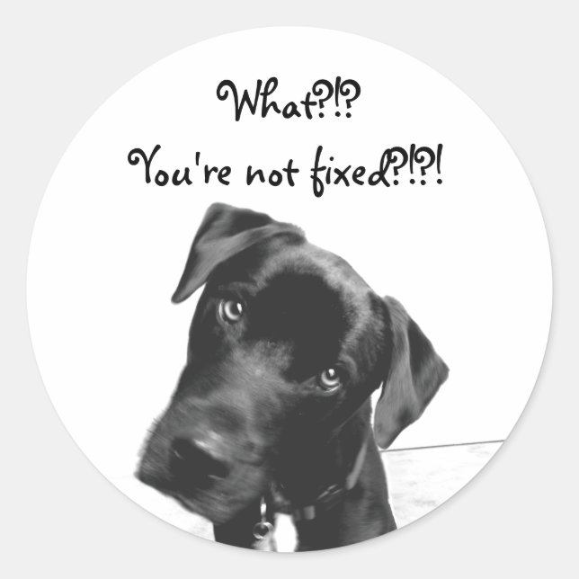 Pegatina Redonda No estás arreglado (Anverso)