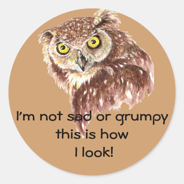 Pegatina Redonda No estoy triste ni gruñido, así es como me veo Búh (Anverso)