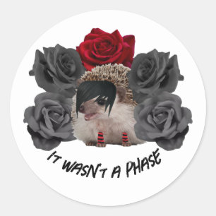 Pegatina Redonda No fue una fase de Emo Hedgehog