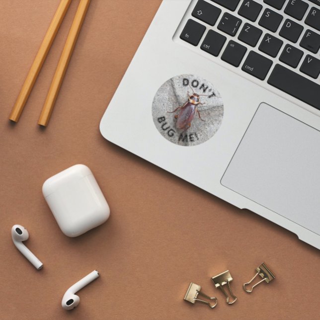 Pegatina Redonda No me engañes, meme de cucarachas (In Situ Book)