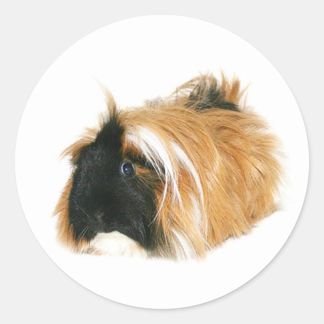 Pegatina Redonda No soy un tribble (Anverso)