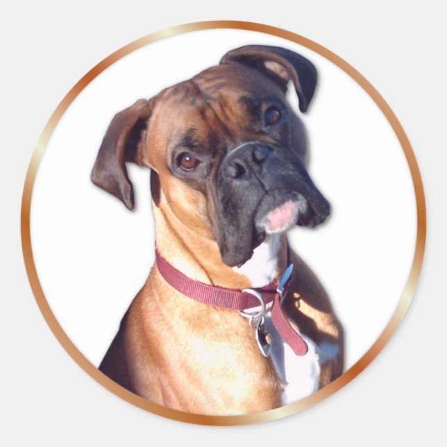 Pegatina Redonda No te vayas (Anverso)