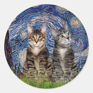 Pegatina Redonda Noche estrellada - Dos gatos tigres atigrados