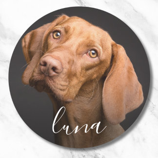 Pegatina Redonda Nombre del Mascota personalizado de la foto del pe