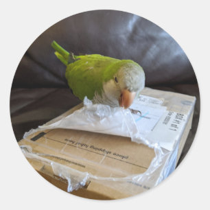 Pegatina Redonda Norbert el Parrot ama abrir paquetes