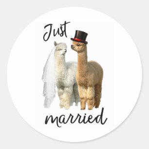 Pegatina Redonda Novia De Camisas De Alpaca Graciosa Y Boda De Groo