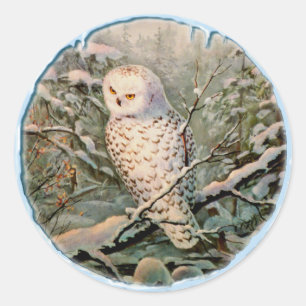 Pegatina Redonda NOWY OWL & ICICLES de SHARON SHARPE