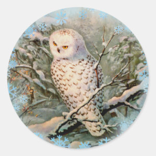 Pegatina Redonda NOWY OWL & SNOWFLAKES de SHARON SHARPE
