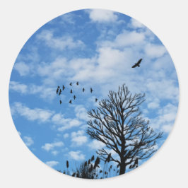 Pegatina Redonda Nubes blancas cielo azul águila hierba de árbol