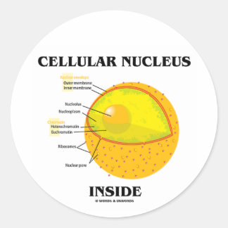 Pegatina Redonda Núcleo celular interno (biología celular)