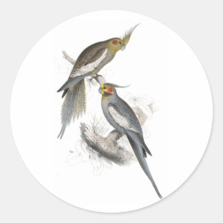 Pegatina Redonda Nueva parrilla holandesa por Edward Lear