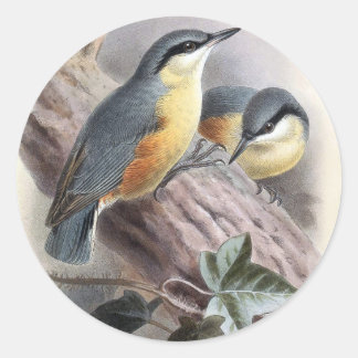 Pegatina Redonda Nuthatch