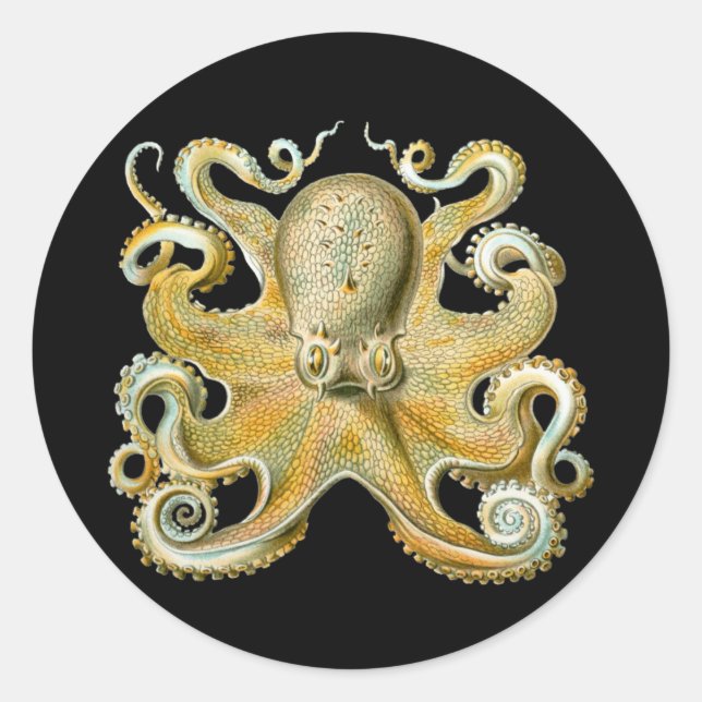 Pegatina Redonda Octopus (Anverso)