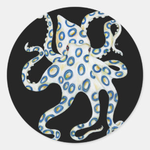 Pegatina Redonda Octopus de anillo azul Tentacles negras
