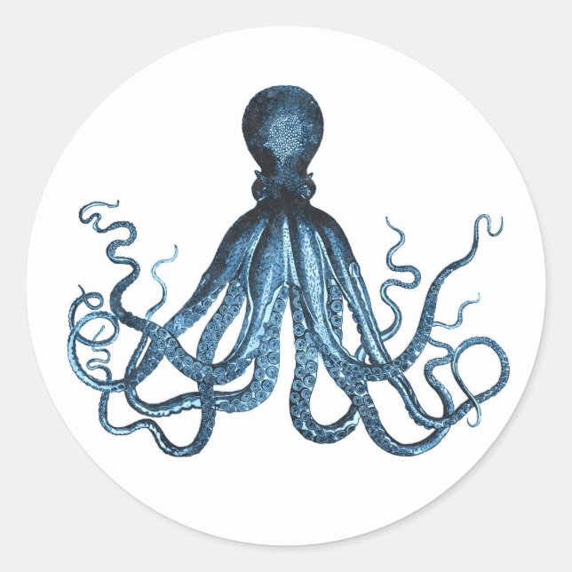 Pegatina Redonda Octopus kraken playa marina costera océano (Anverso)