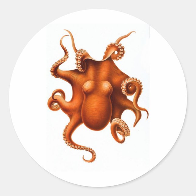 Pegatina Redonda Octopus naranja (Anverso)