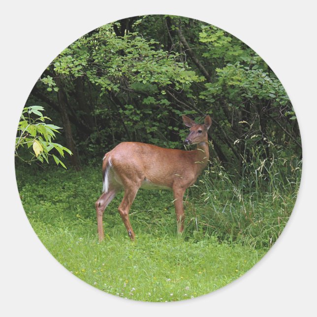 Pegatina Redonda ¡Oh ciervos! (Anverso)