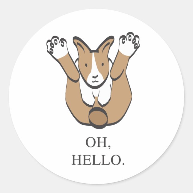 PEGATINA REDONDA OH, HOLA. (Anverso)