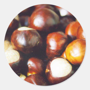 Pegatina Redonda Ohio Buckeyes