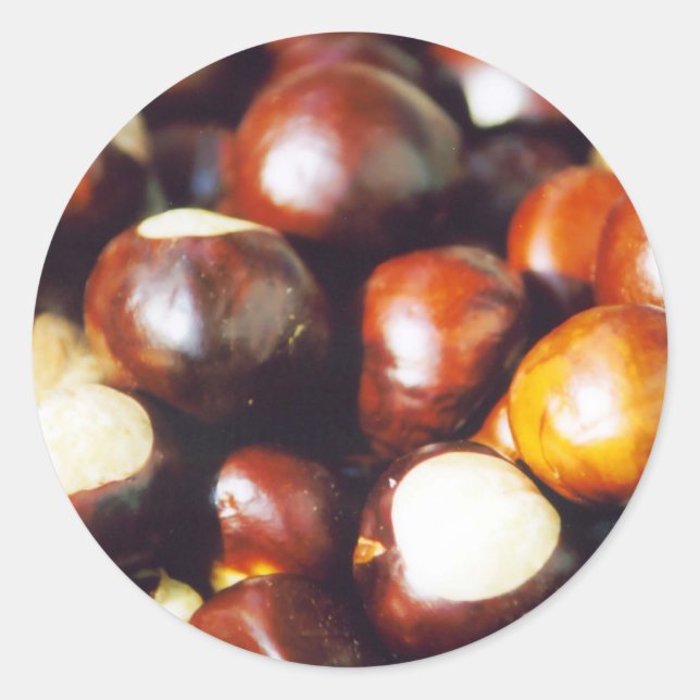 Pegatina Redonda Ohio Buckeyes (Anverso)