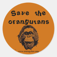 OIF - Salvar orangutanes y selva tropical