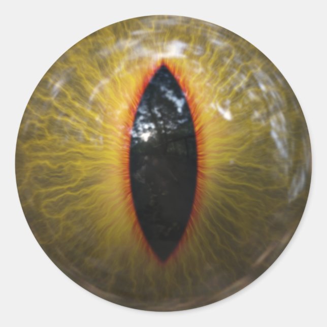 Pegatina Redonda Ojo de gato (Anverso)