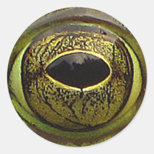 Pegatina Redonda Ojo de la rana