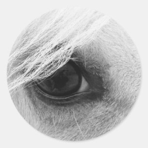 Pegatina Redonda Ojo del caballo en blanco y negro