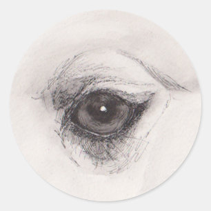 Pegatina Redonda Ojo del Camello – Colección La Mirada