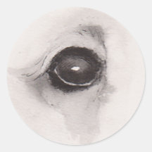 Ojo del Oso – Colección Gaze