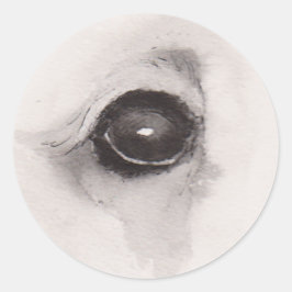 Pegatina Redonda Ojo del Oso – Colección Gaze