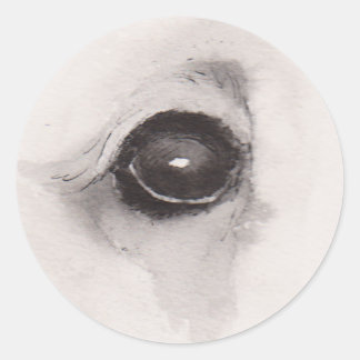 Pegatina Redonda Ojo del Oso – Colección Gaze