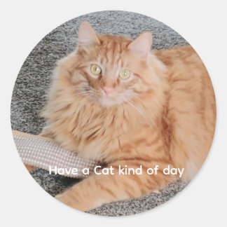 Pegatina Redonda Orange Tabby cat 