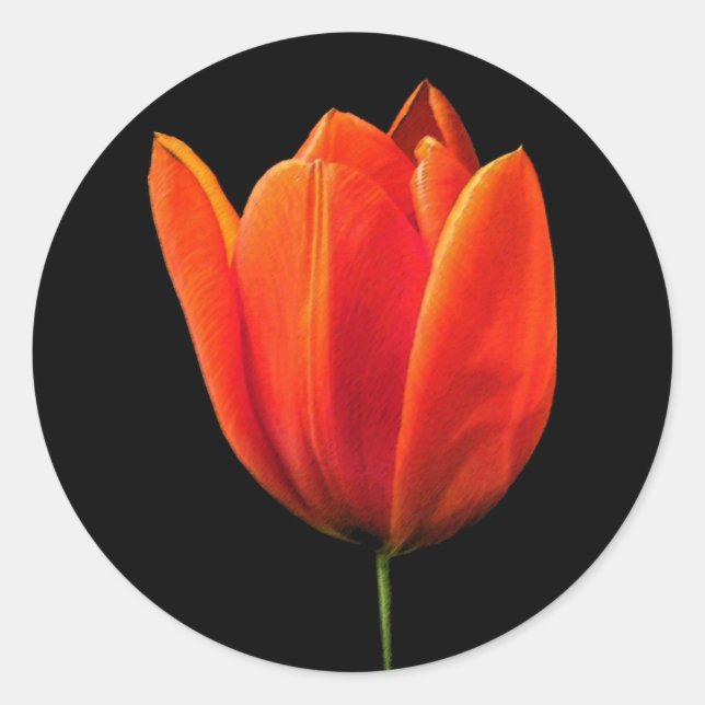 Pegatina Redonda OrangeTulip (Anverso)