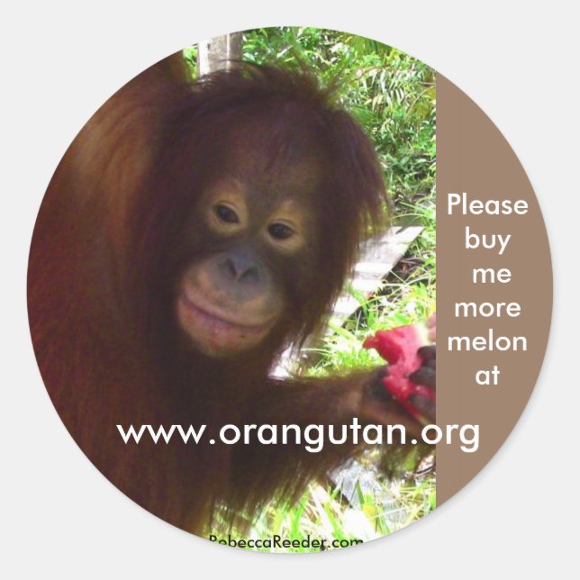 Pegatina Redonda Orangutan es apo por sandía (Anverso)